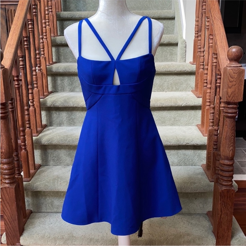 NWT BCBG Maxazria “Charlot” Dress